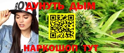 мдпв Нальчик