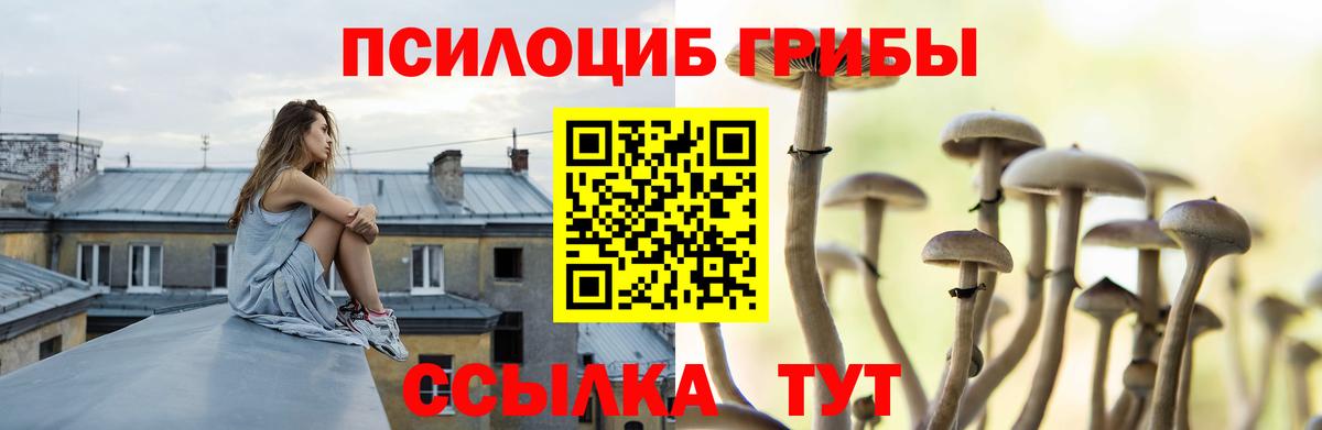 что такое наркотик  Вход с VPN  Советская Гавань  Галлюциногенные грибы Psilocybe  Галлюциногенные грибы Psilocybe 